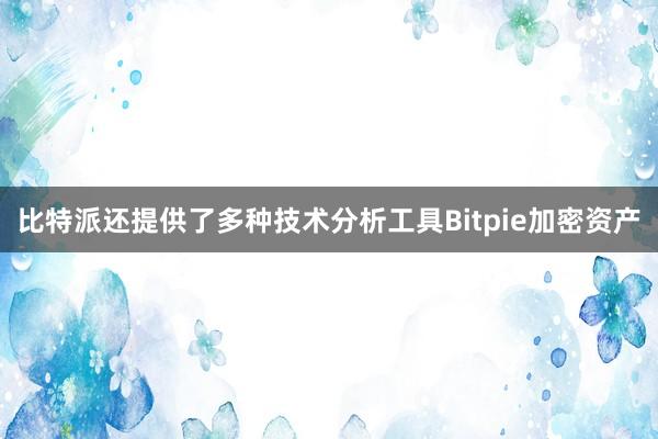 比特派还提供了多种技术分析工具Bitpie加密资产