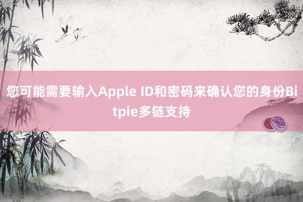 您可能需要输入Apple ID和密码来确认您的身份Bitpie多链支持