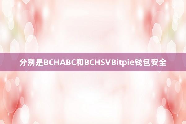 分别是BCHABC和BCHSVBitpie钱包安全