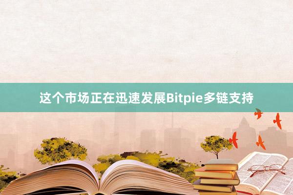 这个市场正在迅速发展Bitpie多链支持