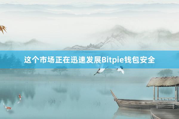 这个市场正在迅速发展Bitpie钱包安全