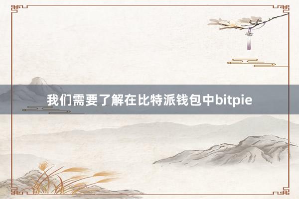 我们需要了解在比特派钱包中bitpie