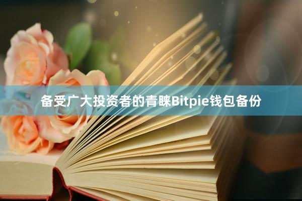 备受广大投资者的青睐Bitpie钱包备份