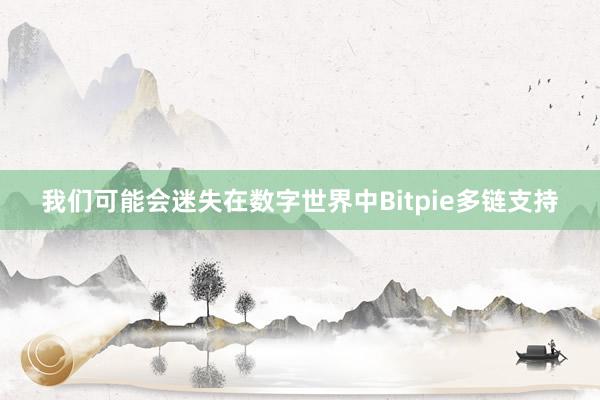 我们可能会迷失在数字世界中Bitpie多链支持