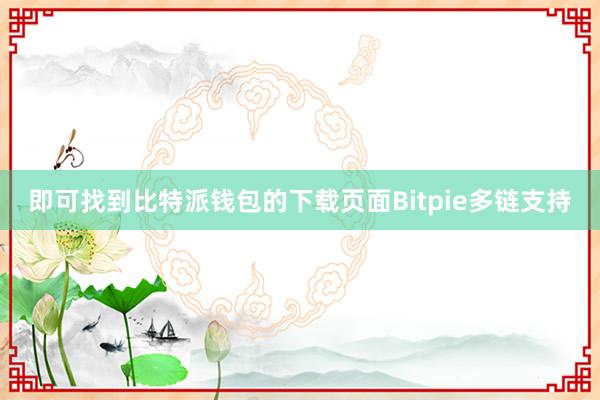 即可找到比特派钱包的下载页面Bitpie多链支持