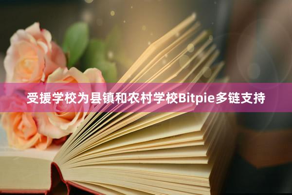 受援学校为县镇和农村学校Bitpie多链支持