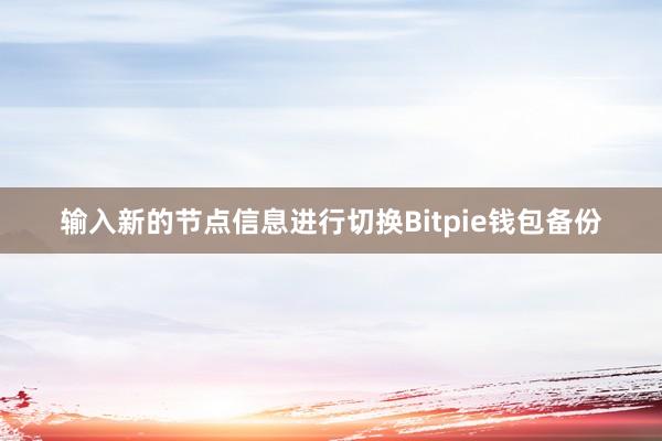 输入新的节点信息进行切换Bitpie钱包备份