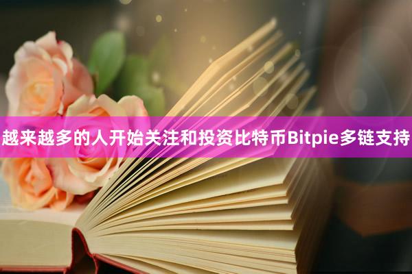 越来越多的人开始关注和投资比特币Bitpie多链支持