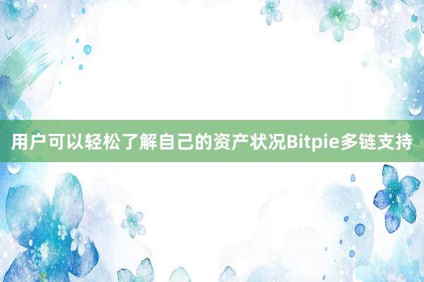 用户可以轻松了解自己的资产状况Bitpie多链支持