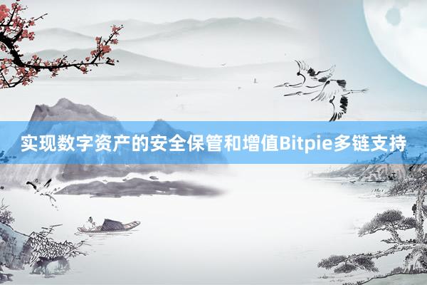 实现数字资产的安全保管和增值Bitpie多链支持