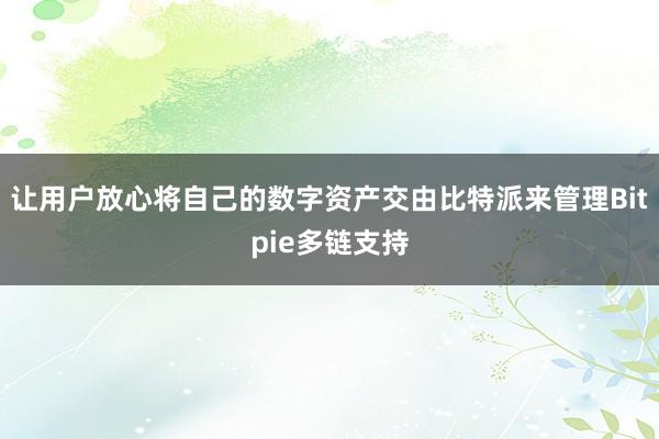 让用户放心将自己的数字资产交由比特派来管理Bitpie多链支持