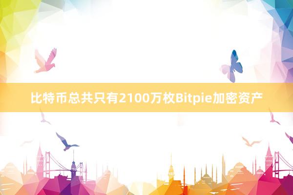 比特币总共只有2100万枚Bitpie加密资产