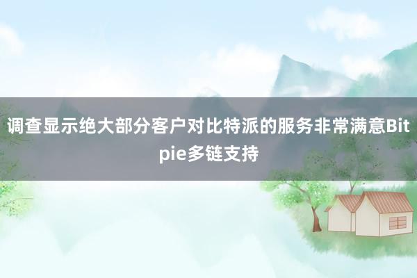 调查显示绝大部分客户对比特派的服务非常满意Bitpie多链支持