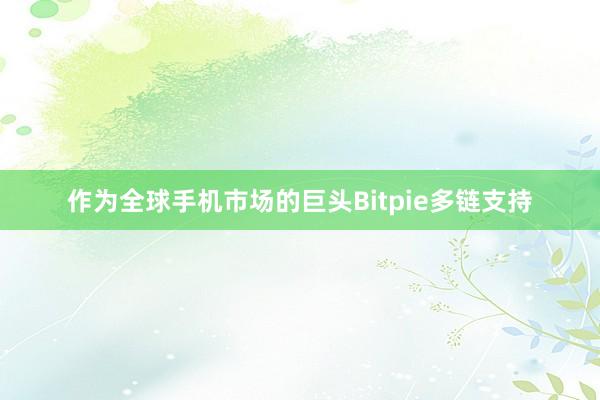 作为全球手机市场的巨头Bitpie多链支持