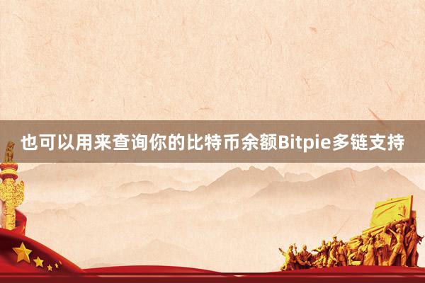 也可以用来查询你的比特币余额Bitpie多链支持