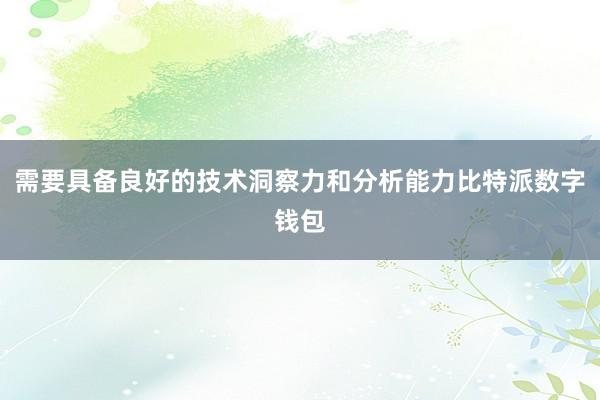 需要具备良好的技术洞察力和分析能力比特派数字钱包