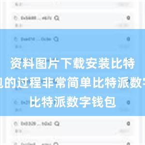 资料图片下载安装比特派钱包的过程非常简单比特派数字钱包