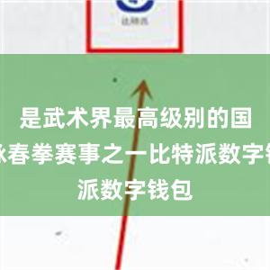 是武术界最高级别的国际咏春拳赛事之一比特派数字钱包