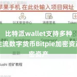 比特派wallet支持多种主流数字货币Bitpie加密资产