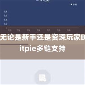 无论是新手还是资深玩家Bitpie多链支持