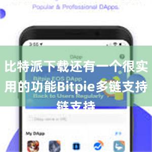 比特派下载还有一个很实用的功能Bitpie多链支持