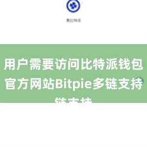 用户需要访问比特派钱包官方网站Bitpie多链支持